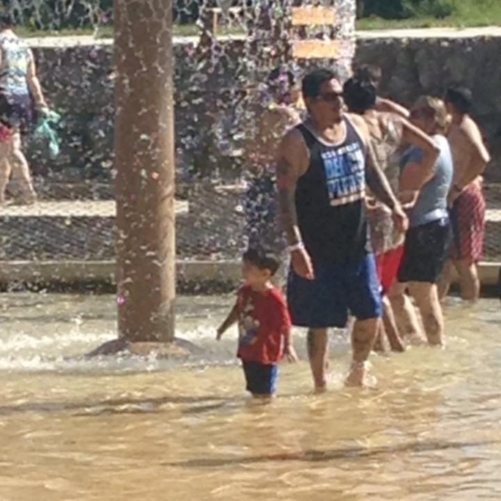 Meet your Posher, Dolly